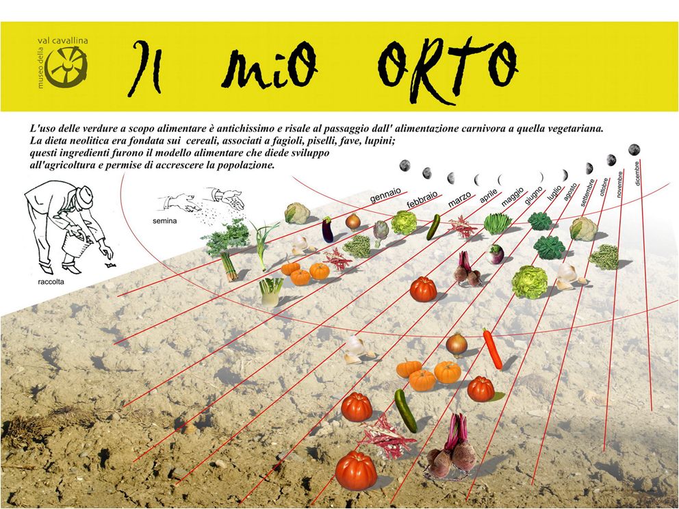 Il mio orto. Ex horto salus!